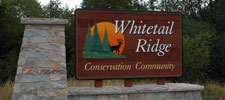 Whitetail Ridge